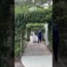 Ever After Farms Vineyard Wedding Venue #barnweddingvenue #weddingbarns #everafterfarms