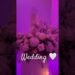 Small Intimate Wedding 🤍 #weddingvideo #wedding #weddingplanner #weddingday #venue #weddingvenue