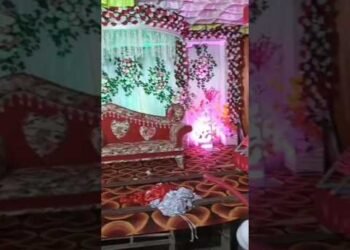 🌺Recent Stage Decoration Design | Latest Wedding Stage 💫 Saini decoration studio #status