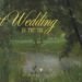 Our 1st Wedding within the US | wedding party, garden wedding, Sangeet, friends, recent experiences