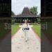 Survey Venue Wedding terbaik di Jogja #venueweddingjogja #weddingplannerjogja