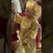 Sola Sobowale dancing and joyful at her daughter’s wedding party