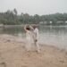 Intimate Wedding in Goa | Kala Bahia