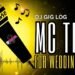DJ GIG LOG: Wedding MC Suggestions (Easy Suggestions for DJ Beginners)