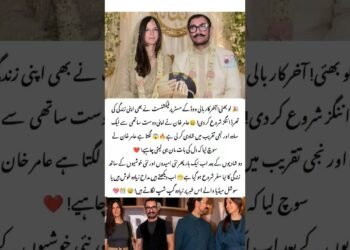 Aamir Khan Begins Latest Journey With Gauri Spratt After Intimate Wedding Celebration Together Happily