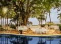 Oceanfront wedding reception at Hyatt Ziva Puerto Vallarta, tables set beneath a fig tree above the Pacific