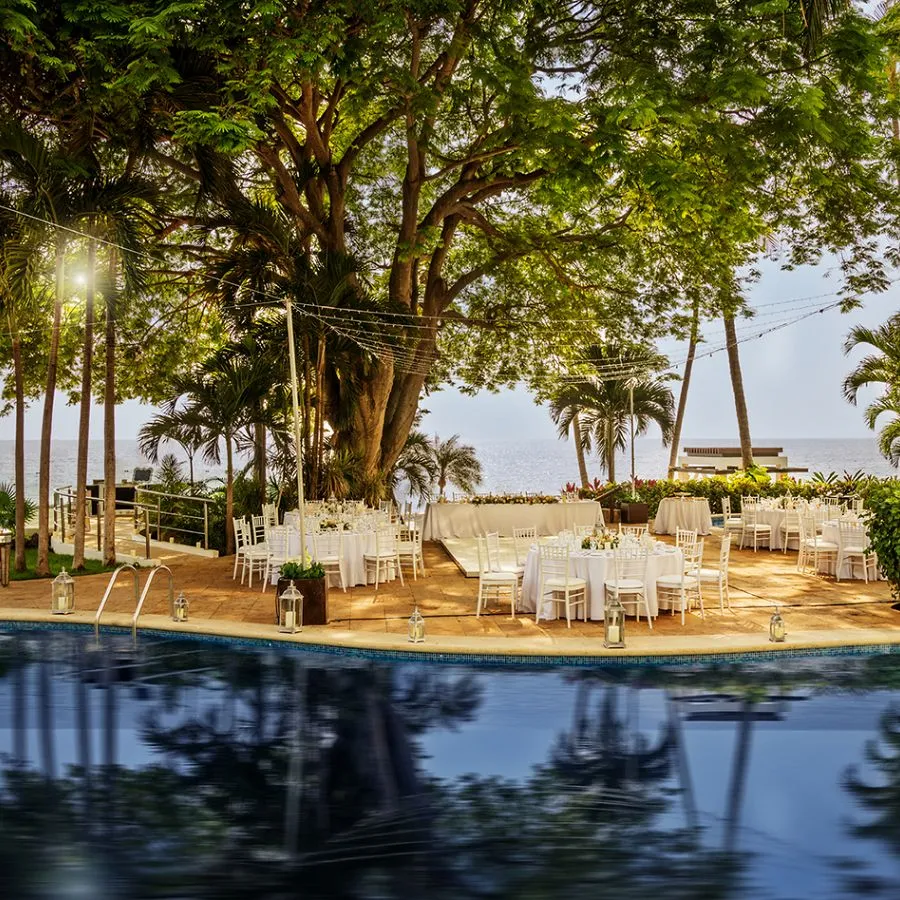 Oceanfront wedding reception at Hyatt Ziva Puerto Vallarta, tables set beneath a fig tree above the Pacific
