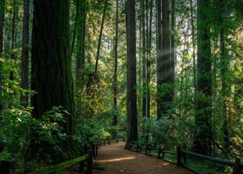 10 Rustic Wedding Venues in the Bay Area