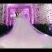 Check How This Fairytale Wedding Was Built From Scartch !