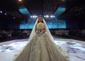 We bet that is essentially the most beautiful wedding dress you will have ever seen ????