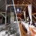 Transforming A 100+ Yr Old Barn Into A Wedding Venue