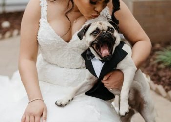 pet wedding ideas