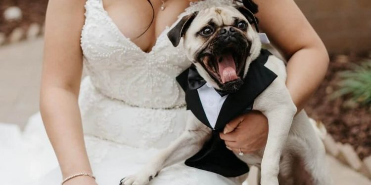 pet wedding ideas