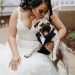 pet wedding ideas