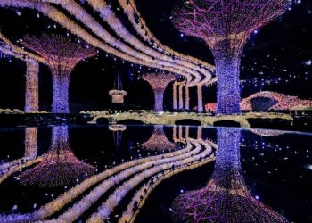 Three Months of Production to Create The Wedding of The 12 months in Egypt!