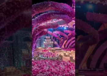 We imagine in PINK ???? #Shorts #lebaneseweddings