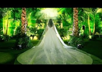 3 Months To Create This Forest Themed Wedding !