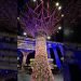 Bringing ‘Singapore Gardens’ to the guts of Cairo with this totally outstanding wedding setup ????