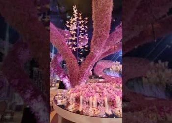 We cannot recover from how STUNNING this vibrant pink wedding was???? #lebaneseweddings #bazevents #shorts