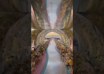 Something idyllic, something surreal ????????! #lebaneseweddings #shorts