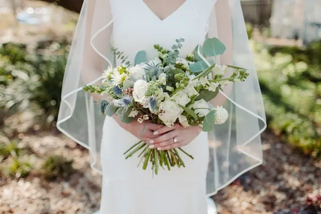 Rosaprima introduces Anemones Florists’ Review