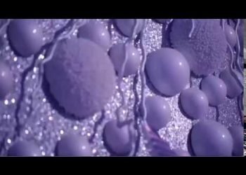 Taufic and Rita unique wedding at Chateau Rweiss