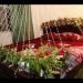 Wedding Bed Room Design