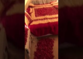 Brother’s Wedding/ Room Decoration #decoration #design