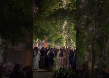 Indian Wedding DJ Chicago, Indian DJ Chicago – Reasonably priced/Skilled