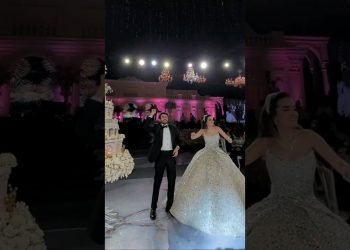 There’s a lot to like about this vigorous cake cutting moment???????? #lebaneseweddings #shorts