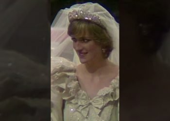 Diana's Wedding Dress: It's a LONG Story ???? ????