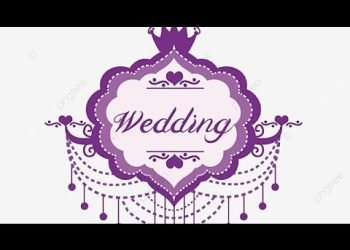 LIVE WEDDING CEREMONY // DJ NIGHT // SAHIL WEDS BHAWNA // LALL ART STUDIO, GARDIWALA
