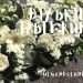 DIY Bridal Table Runner | Rustic Wedding | Flowers