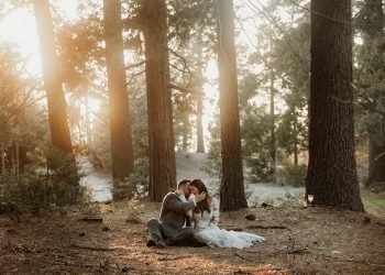 Ashley & Ian || Rustic and Intimate Wedding at Pine Rose Cabins in Lake Arrowhead