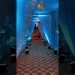 Stage decoration ideas | Trending wedding decor #weddingstage #weddingdecor