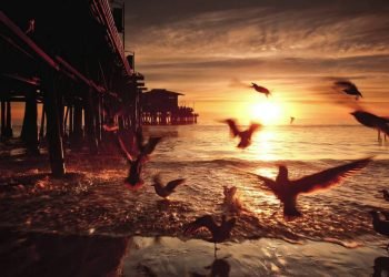 Fearless Motivation – Never Give Up – Prolonged (Epic Music)