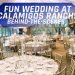 Calamigos Ranch Redwood Room – (Wedding DJ Vlog 2022) + Bonus Testimonial!