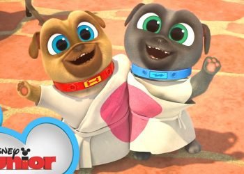 Bob and Ana's Wedding ???? | Compilation | Puppy Dog Pals | @disneyjunior