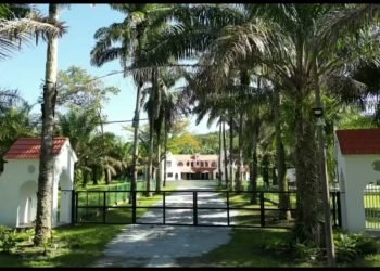 Holistay Forest Villa – Your Intimate Wedding Event Venue