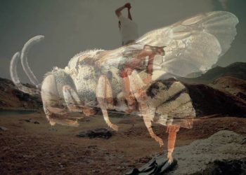 50 Creative and Inspiring Photo Ideas