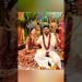 IAS harshit wedding  photos #upsc #motivation #video