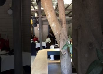 Classy love on a budget! Intimate wedding with minimal decor. ????❤️ #WeddingPlanning #BudgetFriendly