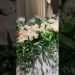Fresh roses and eucalyptus garland head table decoration