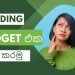 අඩු වියදමින් Wedding plan කරමු | Low Budget Wedding Planning : Suggestions and Ideas to your Dream Wedding