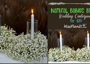 DIY Natural Babies Breath  Wedding Centerpiece for $15! | Dollar Tree DIY | DIY Tutorial