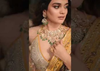 Elegant Wedding Lehenga Designs For A Intimate Wedding