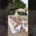 Luxury picnic boho wedding reception