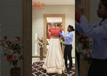 Dulhan Saree Raigarh #dulhanmehndi #dulhanmehndidesign #dulhansaree