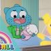 The Amazing World of Gumball | Gumball Becomes A Father | Cartoon Network