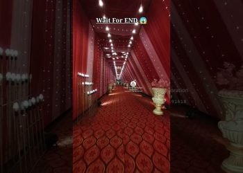 Gallery Decoration || Indian wedding pasage decoration